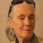 Jane Goodall